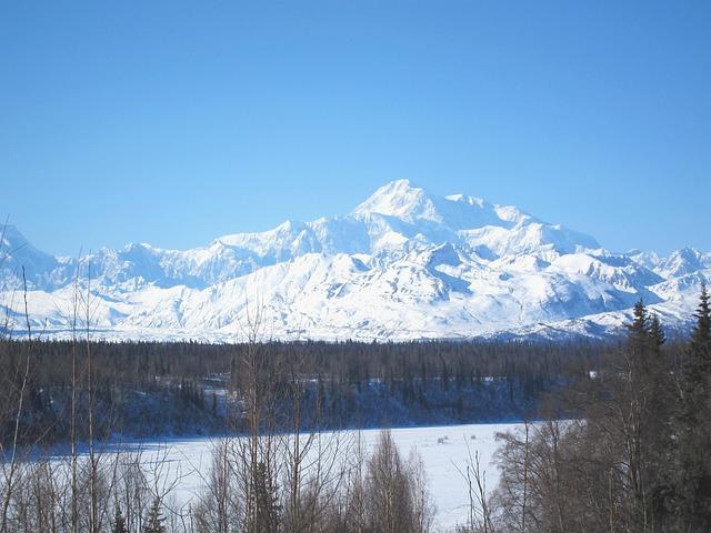 Untamed ‍Beauty of Denali ​National Park