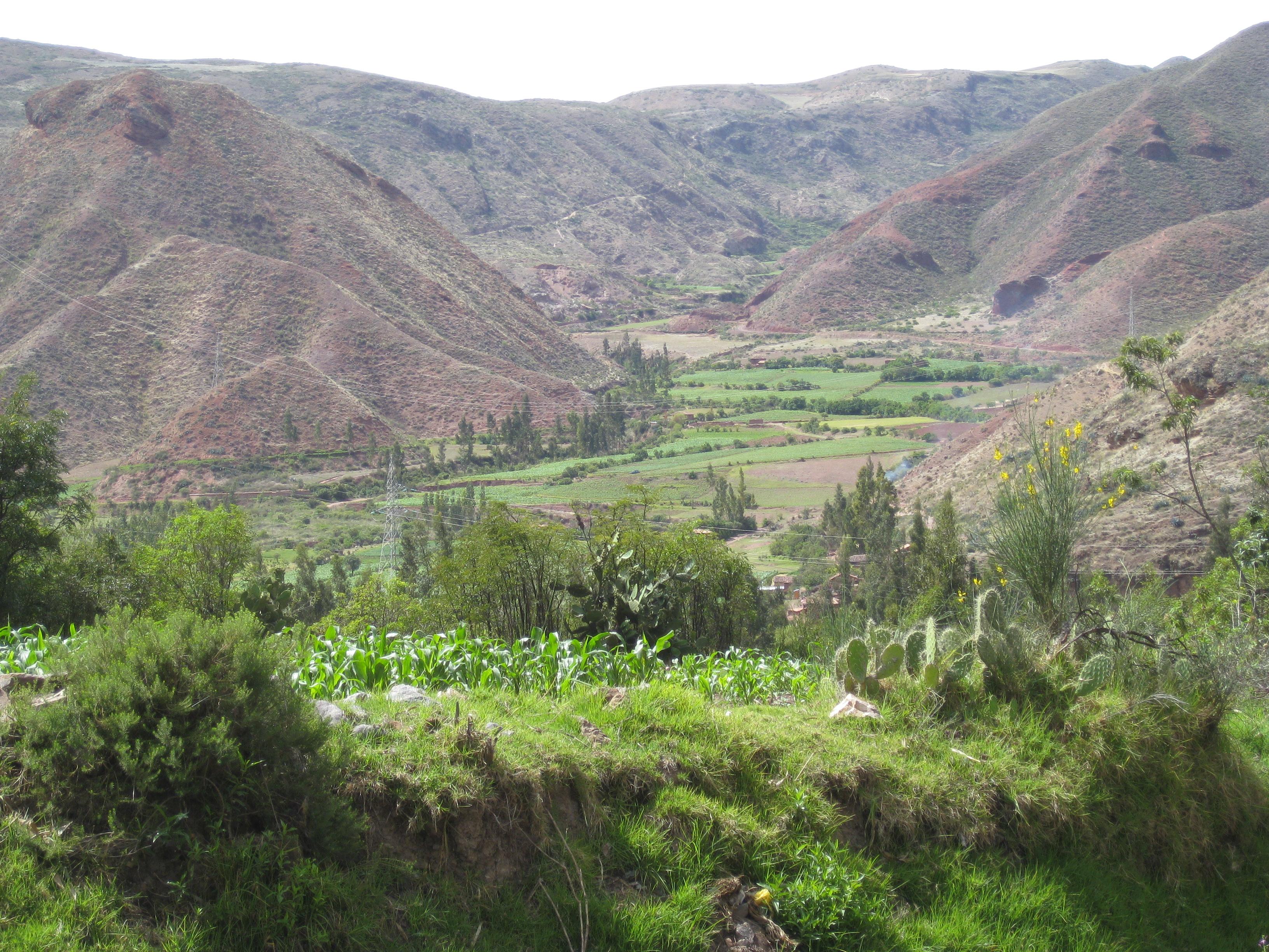 Culinary Adventures: ​Tasting the ⁢Flavors of the Andes