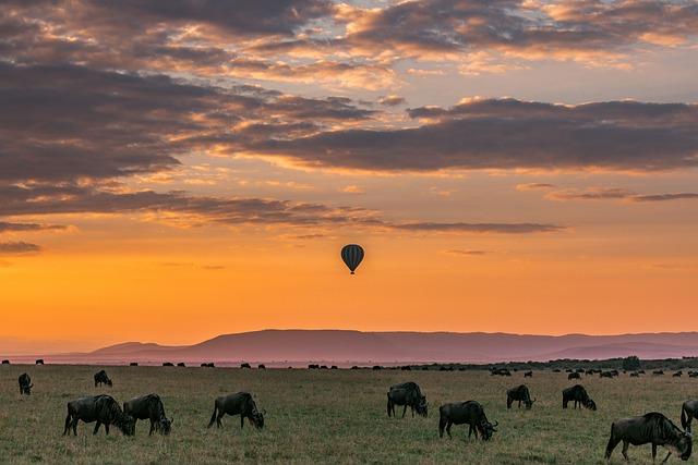 Untamed ‌Wonders:‌ Exploring Africas Premier Safari ‍Parks