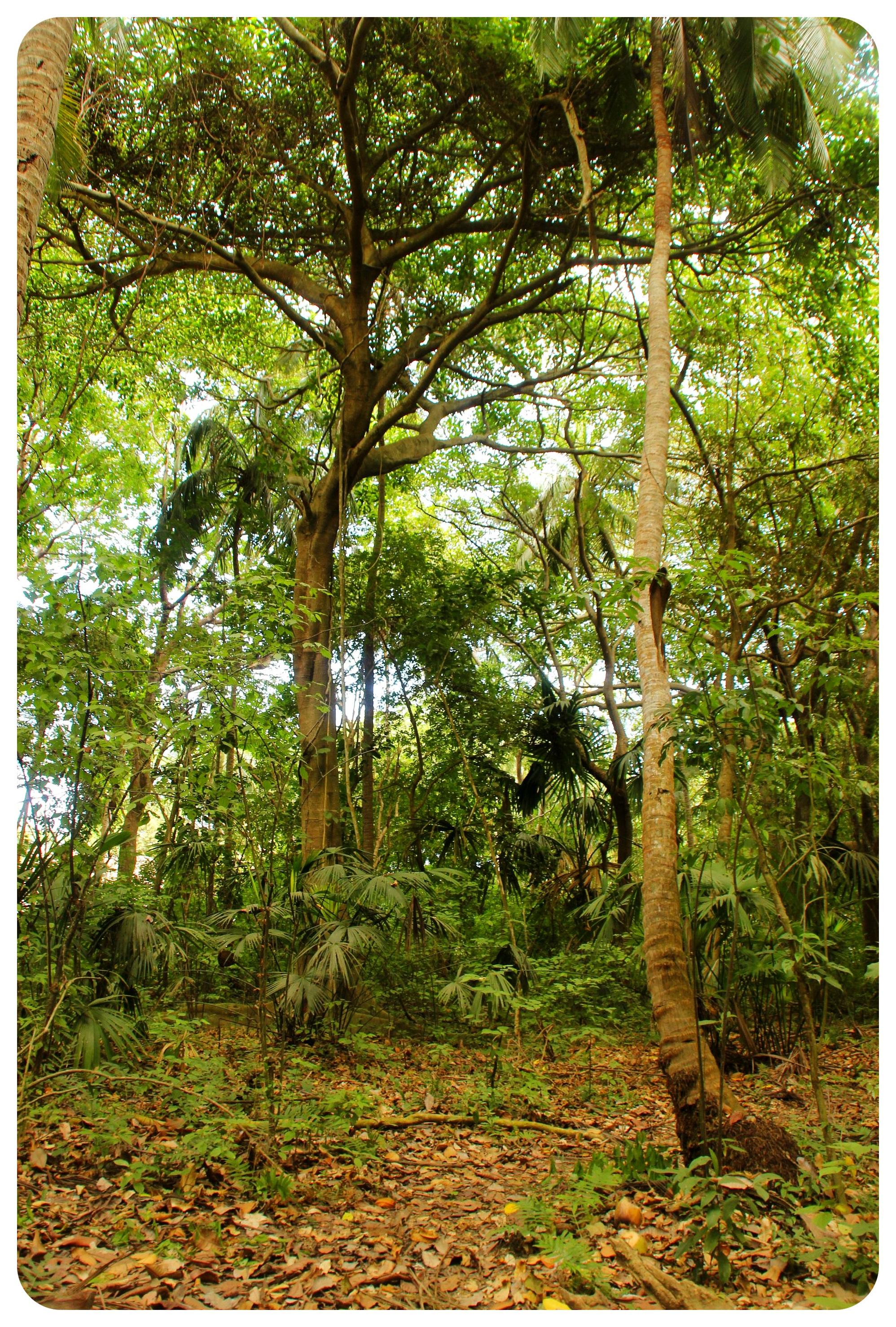Habitats ⁢and Highlights: A Journey Through ‍Colombias Diverse Landscapes