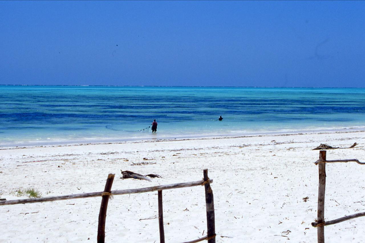 The Untouched Beauty of Jambianis Sandy Stretches