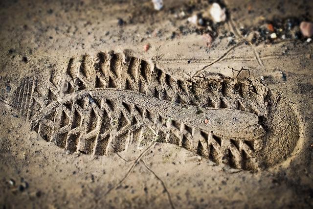 Balancing Exploration with Environmental⁢ Responsibility